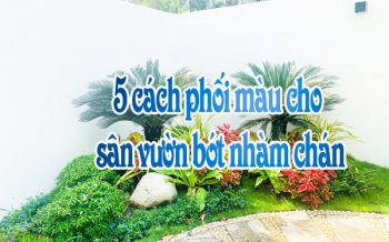 Phoi Mau Cho San Vuon Bot Nham Chan