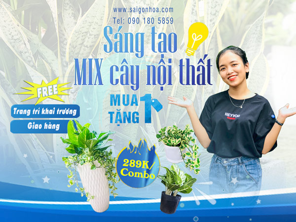 Sáng Tạo Mix Cây Nội Thất Cùng Sài Gòn Hoa • Sài Gòn Hoa 2023