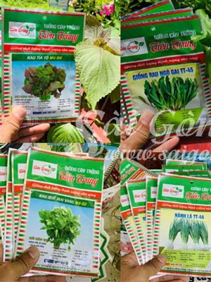 Hạt Giống Rau Thơm