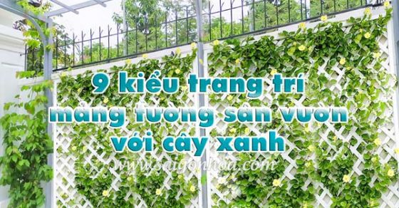 9 kiểu trang trí mảng tường sân vườn với cây xanh • Sài Gòn Hoa 2024