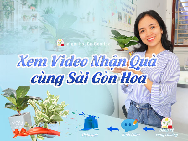 Xem Video Nhận Quà Cùng Sài Gòn Hoa