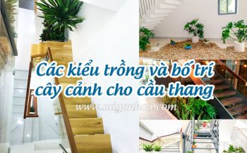 Kieu Bo Tri Chan Cau Thang
