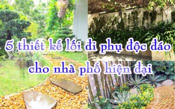 5 Thiet Ke Loi Di Phu Cho Nha Pho