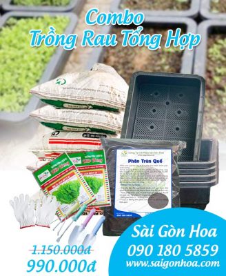Ban Combo Trong Rau Tong Hop