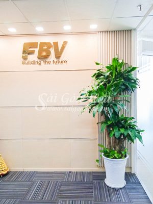 Các loại cây phát tài mang may mắn cho gia chủ
