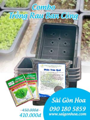 Combo Trồng Rau Ban Công