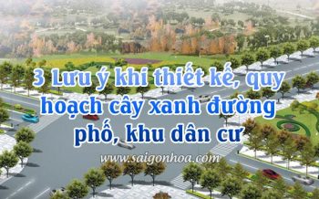 Quy Hoach Cay Xanh Duong Pho
