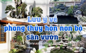 Luu Y Phong Thuy Hon Non Bo