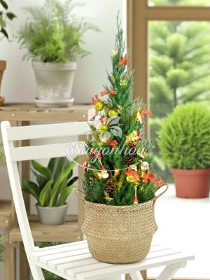 Cây Tùng Bút Noel Giỏ Cói