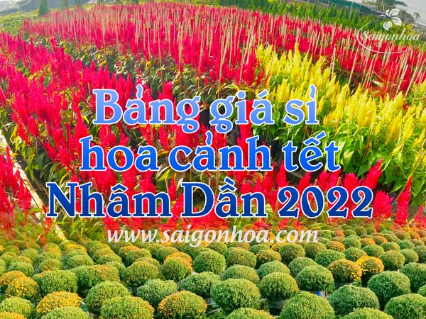 Bảng Giá Sỉ Hoa Cảnh Tết Nhâm Dần 2022