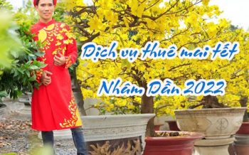 Dich Vu Thue Mai Tet Nham Dan 2022