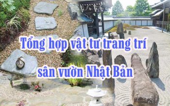 Tong Hop Vat Tu Trang Tri San Vuon