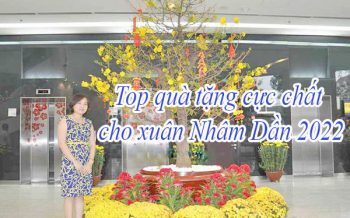 Top Qua Tang Cuc Chat Cho Xuan Nham Dan