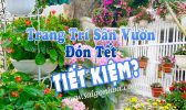 Trang Tri San Vuon Don Tet Tiet Kiem