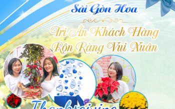 Tri An Khach Hang Ron Rang Vui Xuan