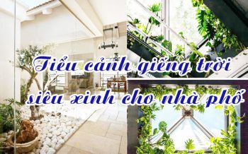 Tieu Canh Gieng Troi Sieu Xinh Cho Nha Pho