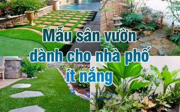 Mau San Vuon Nha Pho It Nang