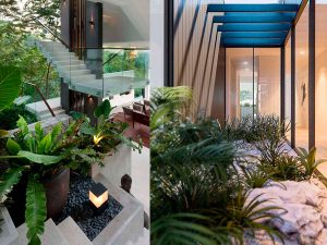 Thiết kế không gian xanh cho nhà phố