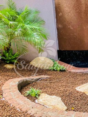 Cây Cau Nga Mi Nội Thất