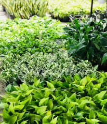 Mua Hàng Liền Tay Rước Ngay Quà Xịn