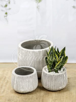 Bộ Chậu Đá Mài Tròn Sọc Đứng