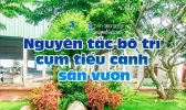 Nguyen Tac Bo Tri Cum Tieu Canh