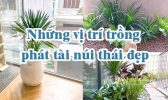 Nhung Vi Tri Trong Phat Tai Nui Thai Dep
