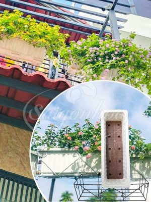 Combo Hoa Trâm Ổi Ban Công