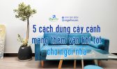 Dung Cay Canh Mang Van Khi