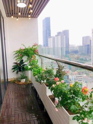 Tiểu Cảnh Ban Công 02