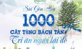 1000 Cay Tung Bach Tan