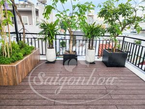 Thiết kế không gian xanh cho nhà phố