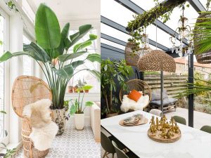 Tìm hiểu xu hướng thiết kế phòng sunroom • Sài Gòn Hoa