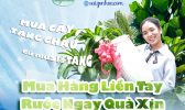 Mua Hang Lien Tay