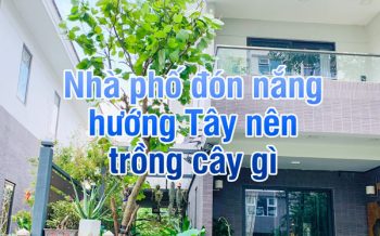 Nha Pho Don Nang Huong Tay 1