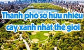 Thanh Pho So Huu Nhieu Cay Xanh Nhat The Gioi