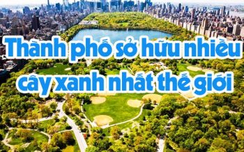 Thanh Pho So Huu Nhieu Cay Xanh Nhat The Gioi