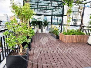 Thiết kế không gian xanh cho nhà phố