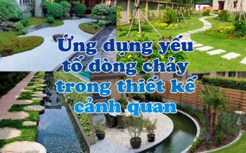Ung Dung Yeu To Dong Chay Canh Quan