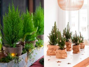 Vui Đón Giáng Sinh Nhận Ưu Đãi Khủng