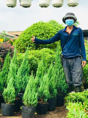 Vui Đón Giáng Sinh Nhận Ưu Đãi Khủng