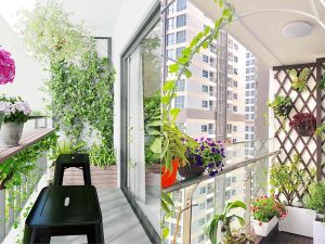 Thiết kế không gian xanh cho nhà phố