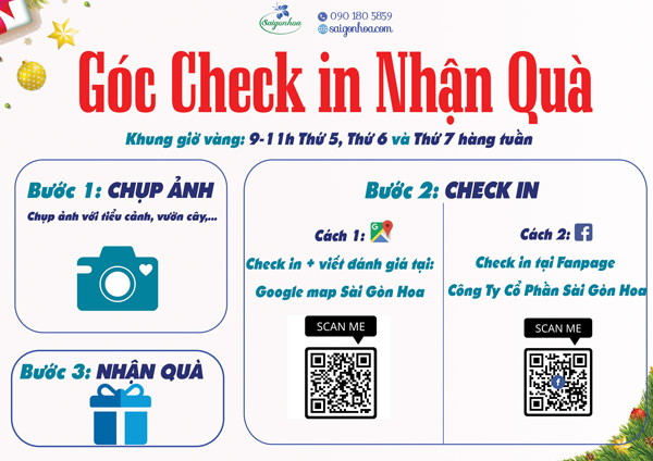 Cach Check In Gio Vang