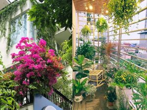 Thiết kế không gian xanh cho nhà phố