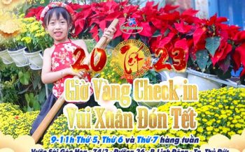Gio Vang Check In Tet 2023