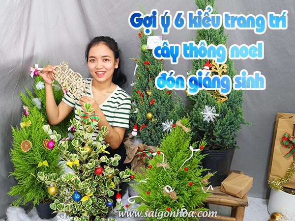 Goi Y Kieu Trang Tri Cay Thong Noel