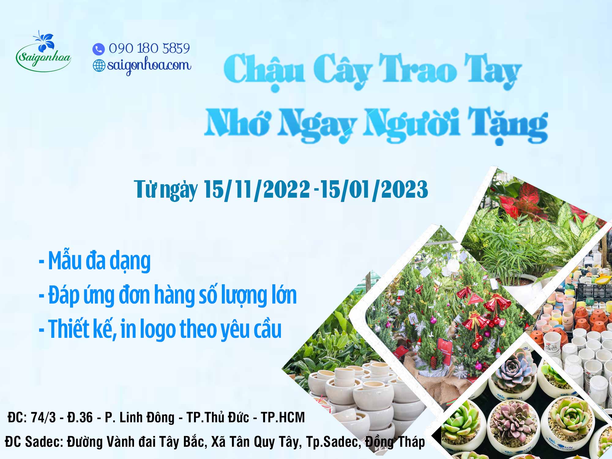 To Roi Ctkm Qua Tang Chau Cay