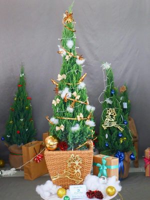 Vui Đón Giáng Sinh Nhận Ưu Đãi Khủng