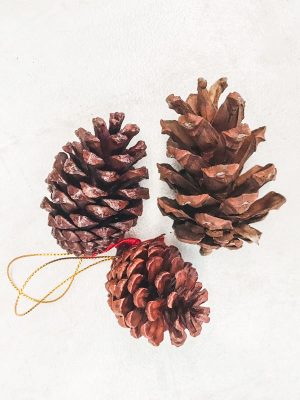 Quả Thông Trang Trí