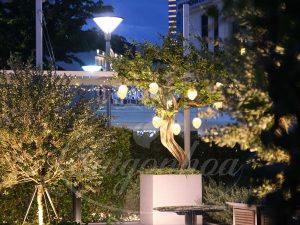 HÈ XANH THAY DIỆN MẠO MỚI